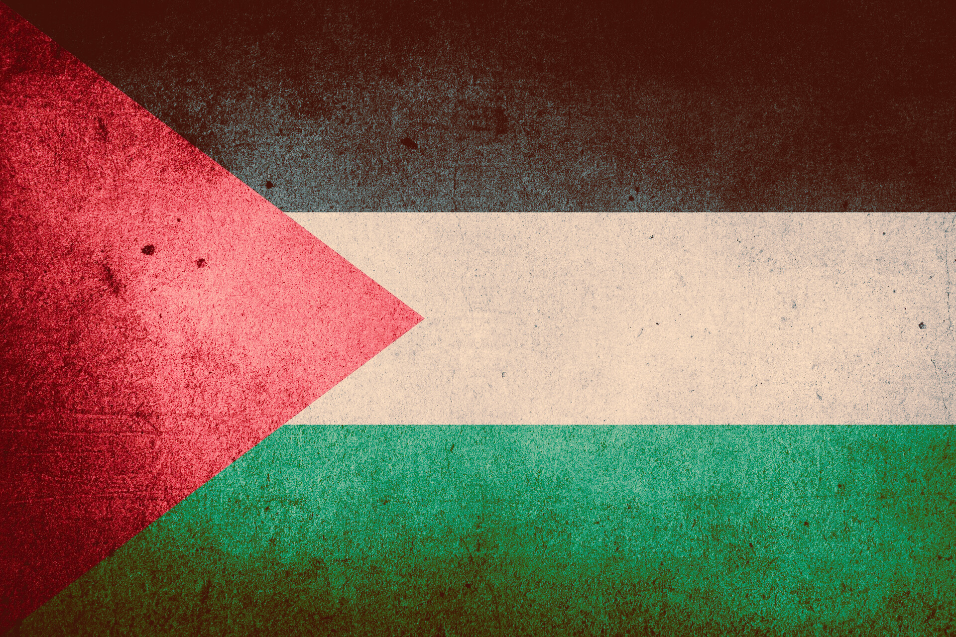 Palestinian Flag Image